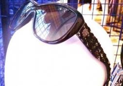 Tendance 2012 : des lunettes de soleil Chanel en tweed ! 