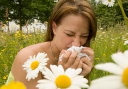 Alerte rouge au pollen de bouleau : attention les yeux ! 