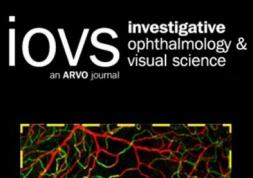 Simulateur de film lacrymal: bientôt des lentilles plus confortables ?