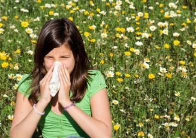 Alerte au pollen : précautions pour les porteurs de lentilles 