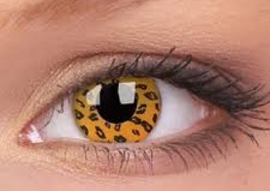 Wild Eyes, les lentilles fantaisie au regard sauvage !