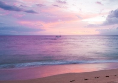 La rétine et ses pathologies: un congrès international à Hawaï