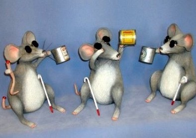 Un produit chimique rend la vue aux souris aveugles !
