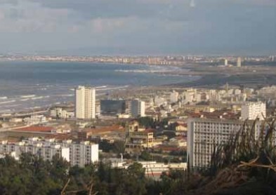 Alain Afflelou part à la conquête de l’Algérie 